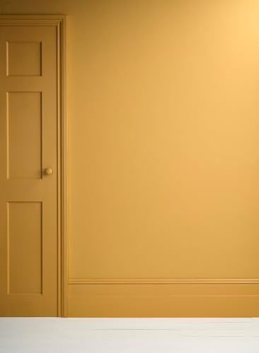 Annie Sloan Satin Paint (Carnaby Yellow, 25 Fl Oz/750 mL). Soft sheen for interior wood and metal. Self-leveling, all-in-one paint with no wax or lacquer required. - color: Carnaby Yellow