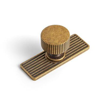 Goo-Ki Antique Brass Zinc Alloy Cabinet Knob with Backplate - Single Hole Center Cabinet Pull Hardware for Bedroom, Kitchen, 2 Pack（9596-G） - color: Antique Brass