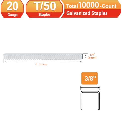 20 Guage Galvanized T/50 Staples with Teeth, 1/4":10000pcs - size: 1/4"---10000Pcs