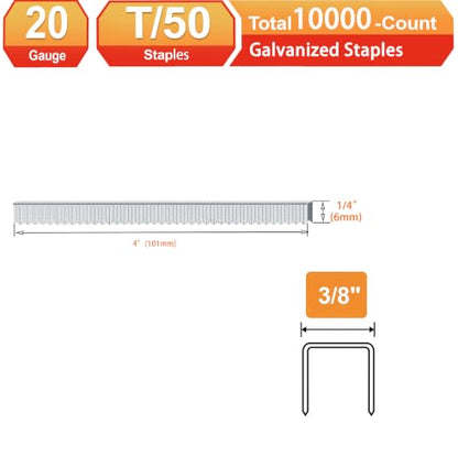 20 Guage Galvanized T/50 Staples with Teeth, 1/4":10000pcs - size: 1/4"---10000Pcs