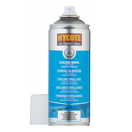 Hycote Fast Drying Aerosol Car Spray Paint, Gloss White, 13.5 Oz (Pack of 2) - color: White (Gloss), size: 13.5 Ounce (Pack of 2)
