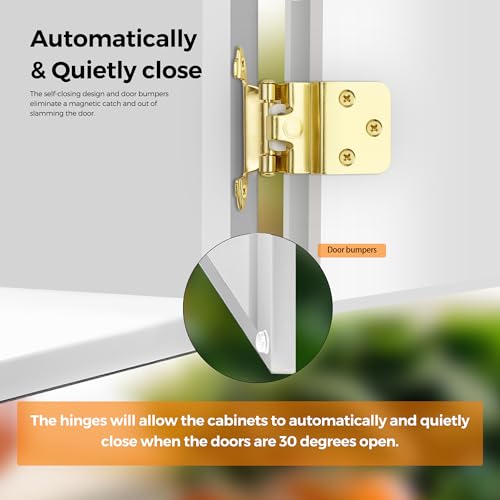 Ravinte 3/8" Inset Gold Cabinet Hinges 60 Pack (30 Pairs) - color: Gold
