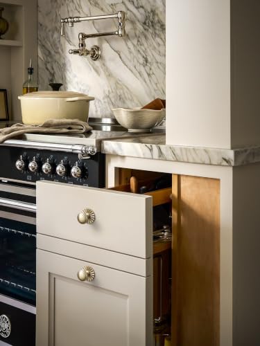 6Pack Champagne Bronze Cabinet Knobs with Backplate Drawer knobs - color: Champagne Bronze, style: Daisy