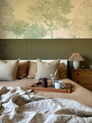 Annie Sloan Wall Paint (Olive, 4 Fl Oz Tester) - color: Olive, size: 4 Fl Oz (Pack of 1)