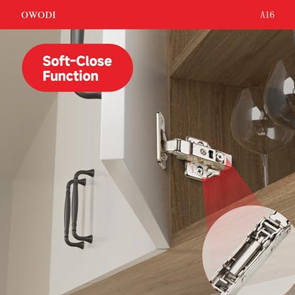 Full Overlay Cabinet Hinges 35mm Soft Close for Frameless Cabinets 10 Pack