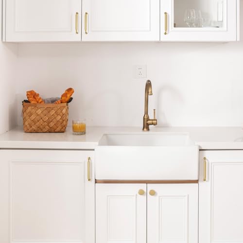 Goldenwarm 10 Pack Brushed Brass Cabinet Knobs Round Gold Drawer Knobs - color: Brushed Brass, size: Single Hole Center