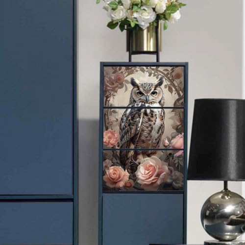 Peacoblue Vintage Owl Rub On Transfers for Furniture Craft 6"x12" - style: Vintage Owl
