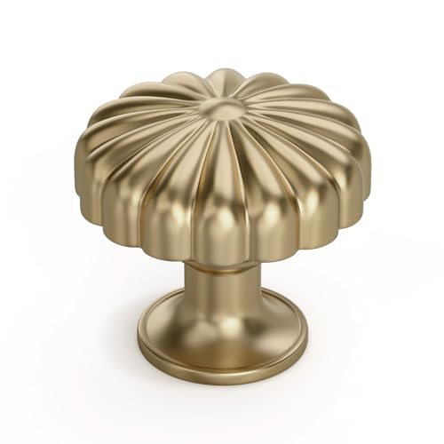 Goldenwarm 15 Pack Champange Bronze Kitchen Cabinet Knobs for Drawers - color: Champange Bronze