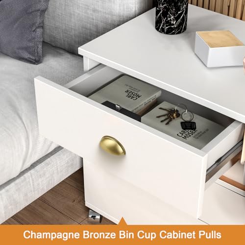 Probrico (10 Pack Champagne Bronze Cabinet Pulls 3 Inch(76mm) Hole Center Kitchen Cabinet Handles, Bin Cup Drawer Pulls Shell Style Kitchen Cabinet Knobs, Cabinet Dresser Closet Hardware - color: Champagne Bronze