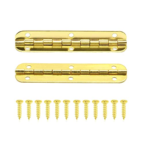 BokWin 24PCS 2.56"x0.59" Mini Hinges, Golden