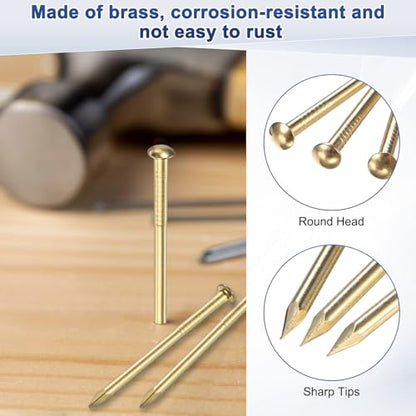M METERXITY 100-Pack Small Tiny Nails, 2mm x 15mm Brass Precision MIni Nails Hardware Round Head for Wooden/DIY Crafts Decorative/Household Accessories/Picture Hanging - size: 2mm x 15mm