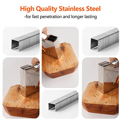 Heavy Duty T50 Staples 3/8 Inch 2000-Count 304 Stainless Steel - size: 3/8" - 2000 Count