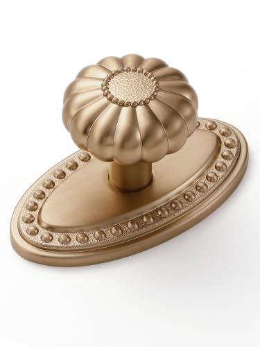 Champagne Bronze Cabinet Knobs 5 Pack with Base - color: Champagne Bronze, size: Knob with Base