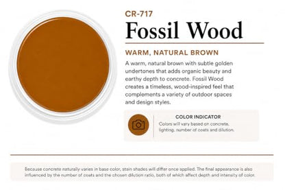 Cement Stain Concentrate - Fossil Wood (8 Ounce) - color: Fossil Wood, size: 8 ounce