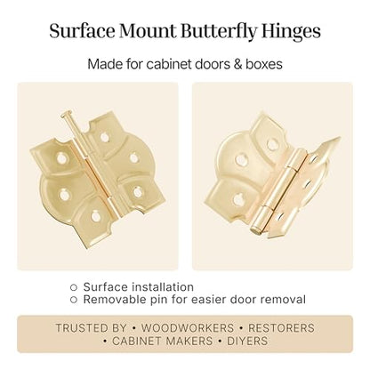 Polished Brass Butterfly Hinges with Removable Pin - Pack of 2 - Surface Mount Cabinet Door Hinges - UA-261-HPB (1) - color: Brass