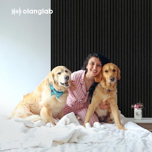 Olanglab Wood Panels for Wall 4Pack 94.5"x12.6" Matte Black - color: Matte Black