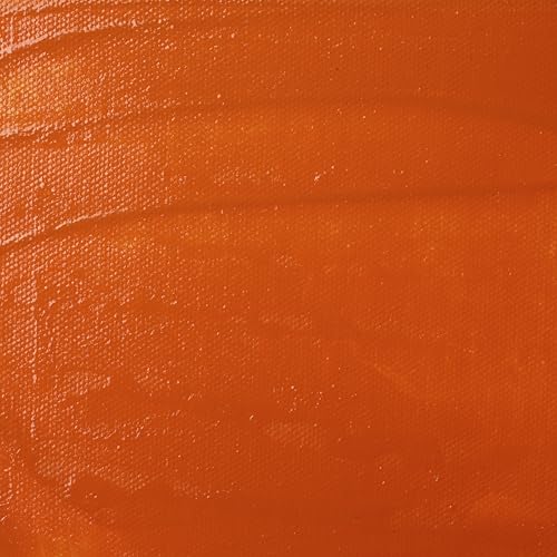 Liquitex Professional Satin Varnish, 1.89L (Half Gallon) Bucket - color: Satin, style: 64-oz