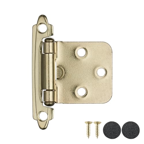 JQK 1/2 Inch Overlay Cabinet Door Hinges Gold, 20 Pack 10 Pairs Flush Face Mount Cupboard Self-Closing Kitchen Cabinet Hinges with Door Bumper, CH200-BG-P20 - color: Gold, size: 20 pack/10 pairs