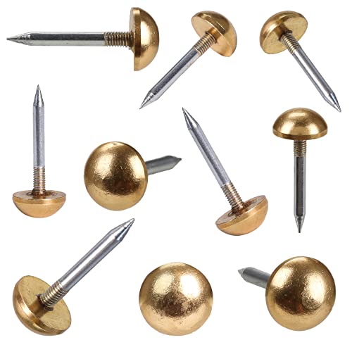 Retro Solid Pure Brass Tacks, Antique Upholstery Nails & Cap Nails for Furniture, Carpet, Wood Crafts & DIY Projects (1/2", 12mm, Gold Color, 20 Pcs) - color: Gold Brass, size: 1/2“