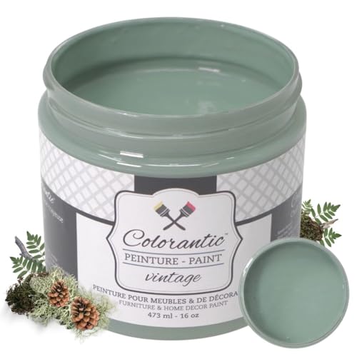 Colorantic | BOREAL MOSS Chalk Paint Based for Furniture DIY - Multi-Surface Craft Paint | MEDIUM GREEN Home Decor Painting (16 oz, Boreal Moss) - color: Boreal Moss, size: 16 Fl Oz (Pack of 1)