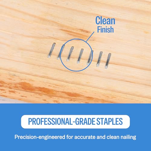 meite 20 Gauge Staples, 1/2" (12.5mm) Crown, 3/8-Inch Length, 5,040 PCS - size: 3/8" (10 mm), style: 1 Box