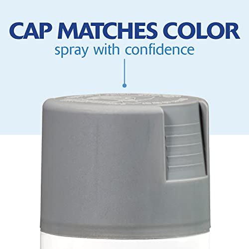 Rust-Oleum Painter's Touch 2X Ultra Cover Spray Paint, Satin Granite - color: Satin Granite, size: 12 Ounce (Pack of 1)