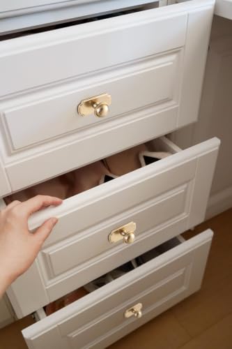 6Pack Champagne Bronze Cabinet Knobs with Backplate Drawer knobs - color: Champagne Bronze, style: Wide-Scalloped