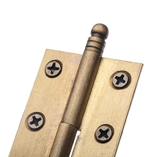 dophee 2pcs Vintage Industrial Style Folding Butt Hinges with Screws