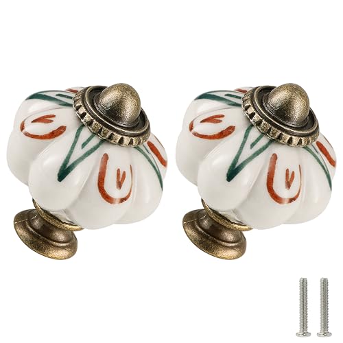 12pcs Ceramic Pumpkin Knobs - Flowers & Aloe Vera - style: Flowers & Aloe Vera
