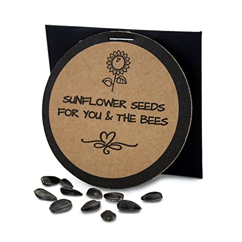 Gilboys 'Rose Gold' Premium Beeswax Furniture Polish (125ml)
