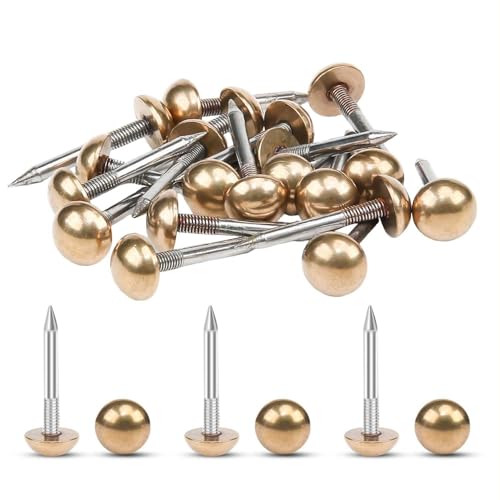 20PCS Solid Brass Upholstery Tacks for Furniture,Antique Decorative Nails 0.39 inch Small Metal Thumb Tacks Craft Pins for Wood Couch Chair DIY Bulletin Board - color: Brass, size: 0.39"Dia