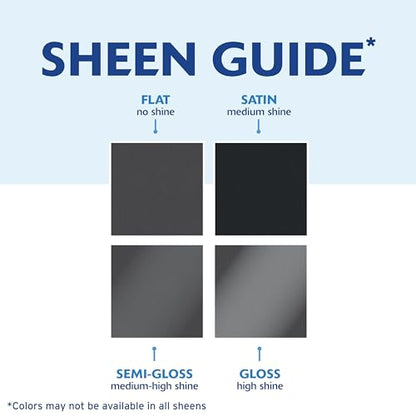 Rust-Oleum Painter's Touch 2X Ultra Cover Spray Paint, Ultra Matte Slate - color: Ultra Matte Slate, size: 12 Ounce (Pack of 6)