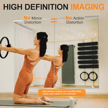 Delma Home Gym Mirror, 48''x28''x2PCS Silver Wall Mounted - size: 48''x28''x2PCS