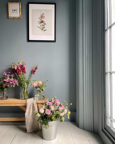 Annie Sloan Wall Paint (Cambrian Blue, 4 Fl Oz Tester) - color: Cambrian Blue, size: 4 Fl Oz (Pack of 1)