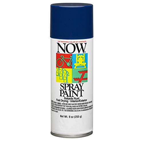 Krylon I21207007 Now Economy Paints Royal Blue, 9 Ounce (Pack of 1)