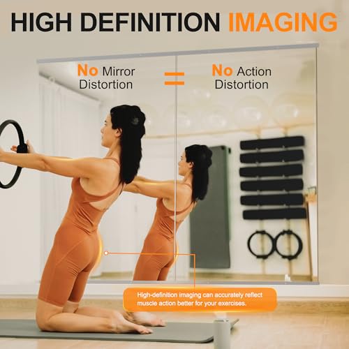Delma Home Gym Mirror, 54''x30''x2PCS Silver - size: 54''x30''x2PCS