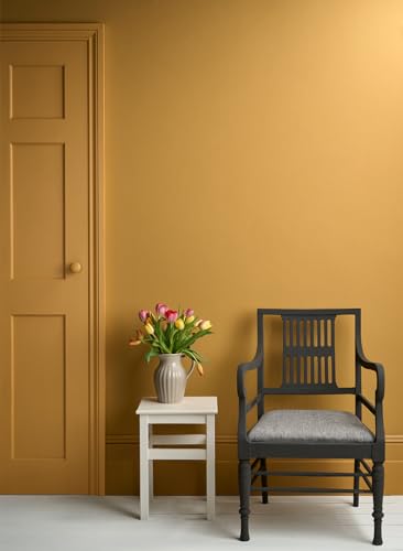 Annie Sloan Satin Paint (Carnaby Yellow, 25 Fl Oz/750 mL). Soft sheen for interior wood and metal. Self-leveling, all-in-one paint with no wax or lacquer required. - color: Carnaby Yellow