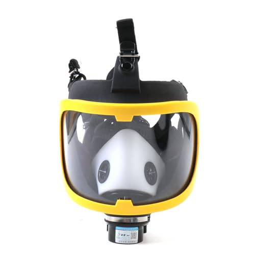 Full Face Respirator, Protective Mask with Air Pump for Gases Dust Chemicals Paint， Powered Respirator, 110ma-300ma 62 L/min 74 L/min Air Supply Flow