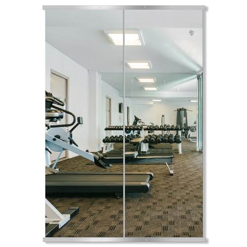 Delma Home Gym Mirror, 70''x24''x2PCS, Silver - size: 70''x24''x2PCS
