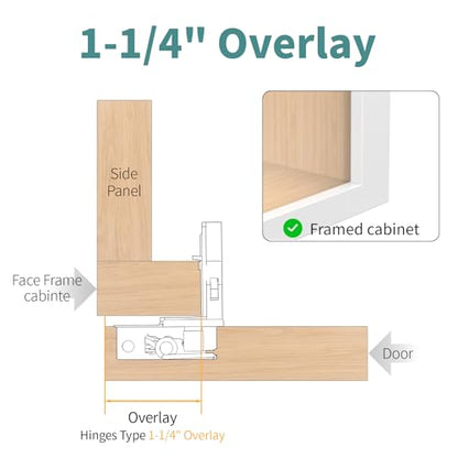 10 Pack 1 1/4" Overlay 3D Soft Close Hinges for Face Frame Kitchen Cabinet, 3 Way Adjust, Self Closing Concealed Cabinet Hinges-105 Degree