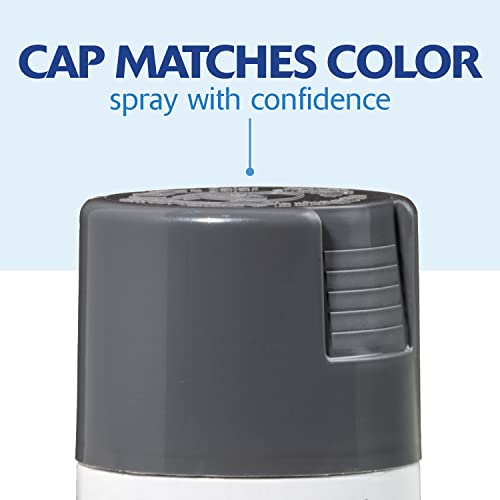 Rust-Oleum Painter's Touch 2X Ultra Cover Spray Paint, Gloss Dark Gray - color: Gloss Dark Gray, size: 12 Ounce (Pack of 1)
