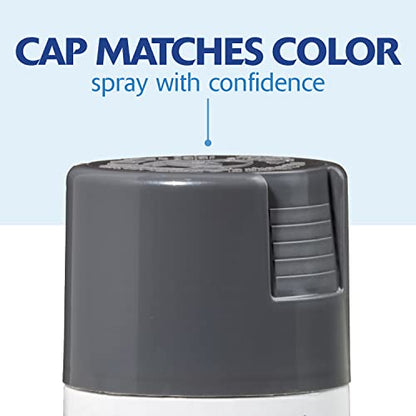 Rust-Oleum Painter's Touch 2X Ultra Cover Spray Paint, Gloss Dark Gray - color: Gloss Dark Gray, size: 12 Ounce (Pack of 1)