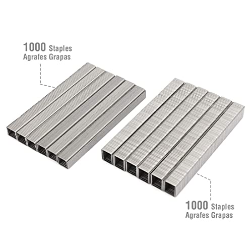 Arrow Fastener General-Purpose Staples Pack Set - Stainless Steel, T50 Compatible - 1/2" & 3/8"
