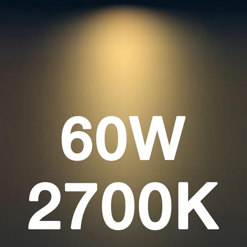 FLSNT 60W Equivalent LED Chandelier Light Bulbs, Dimmable, E12 Base, Clear B11 LED Filament Candelabra Bulbs, 2700K Soft White, 6 Pack - color: 2700k Soft White, size: 6 Count (Pack of 1)