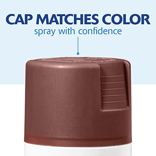 Rust-Oleum Painter's Touch 2X Ultra Cover Spray Primer, Flat Red - color: Red, size: 12 fluid ounce (Pack of 1)