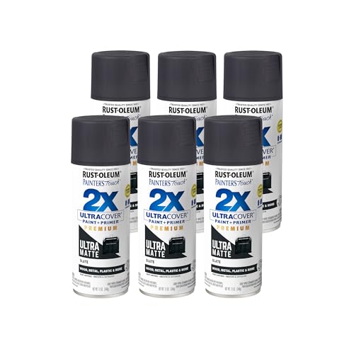 Rust-Oleum Painter's Touch 2X Ultra Cover Spray Paint, Ultra Matte Slate - color: Ultra Matte Slate, size: 12 Ounce (Pack of 6)