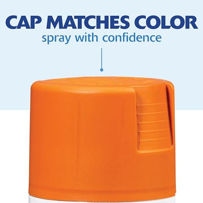 Rust-Oleum Painter's Touch 2X Ultra Cover Spray Paint, Satin Rustic Orange