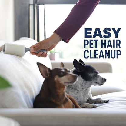 Scotch-Brite Everyday Clean Lint Roller, Lint Remover for Pet Hair, Dark Clothes, Furniture, and Dusty Surfaces, Picks Up Fur & Fluff in Your Home, Car, & Office, 10 Pack, 950 Adhesive Sheets Total - size: 10 Rollers (950 Sheets)