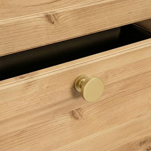 Goldenwarm 10 Pack Brushed Brass Cabinet Knobs Round Gold Drawer Knobs - color: Brushed Brass, size: Single Hole Center