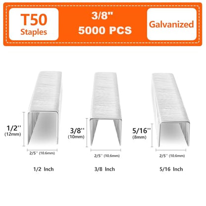 Heavy Duty T50 Staples 3/8" Length 3/8" Crown 5000 Pcs Galvanized - size: 3/8" - 5000 Count